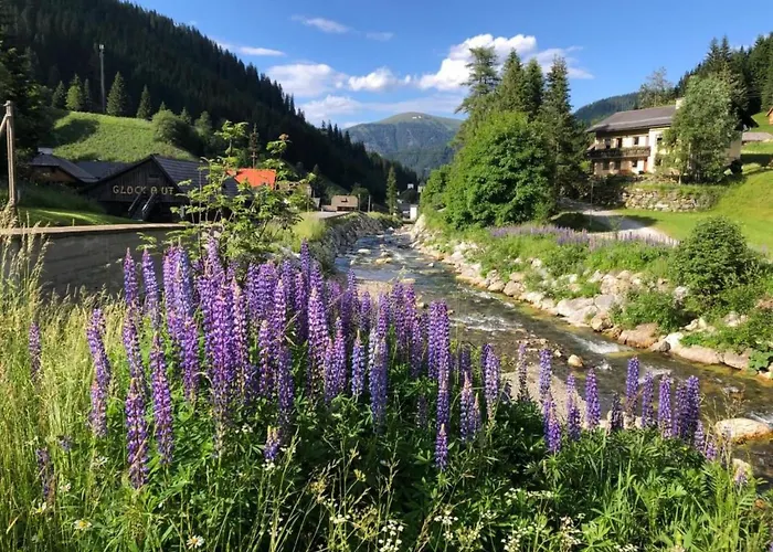 Apartman Berghof Turrach By Interhome Turracher Höhe